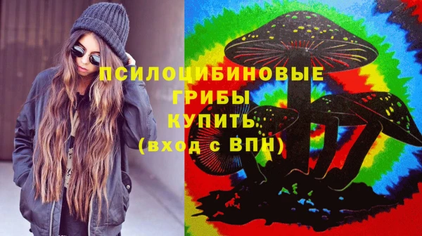 ПСИЛОЦИБИНОВЫЕ ГРИБЫ Нефтегорск