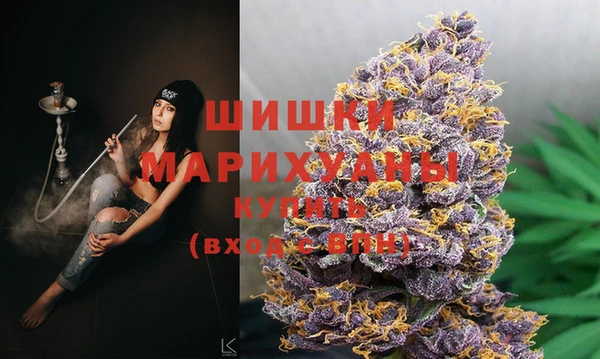 дживик Нефтекумск