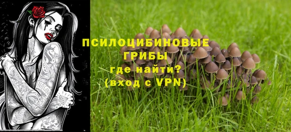 ПСИЛОЦИБИНОВЫЕ ГРИБЫ Нефтегорск