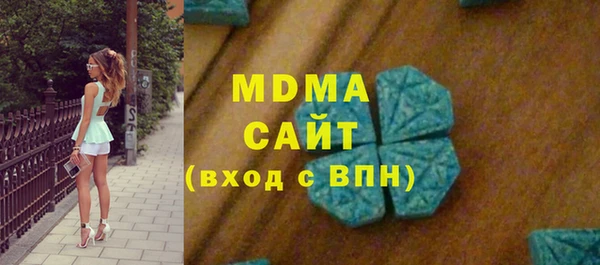 прущие грибы Новозыбков